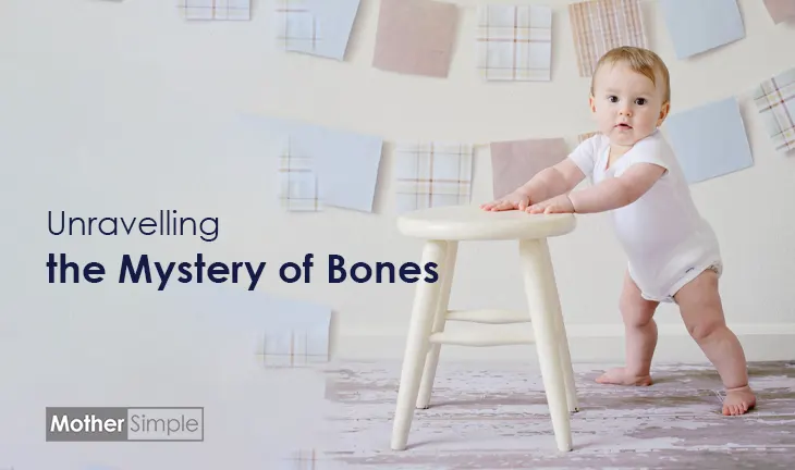 why would babies have more bones than adults